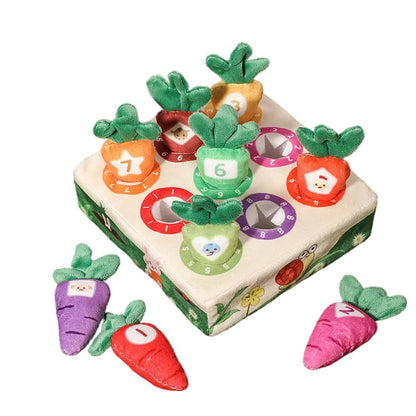 Baby Montessori Toy Sensory Activity Carrot