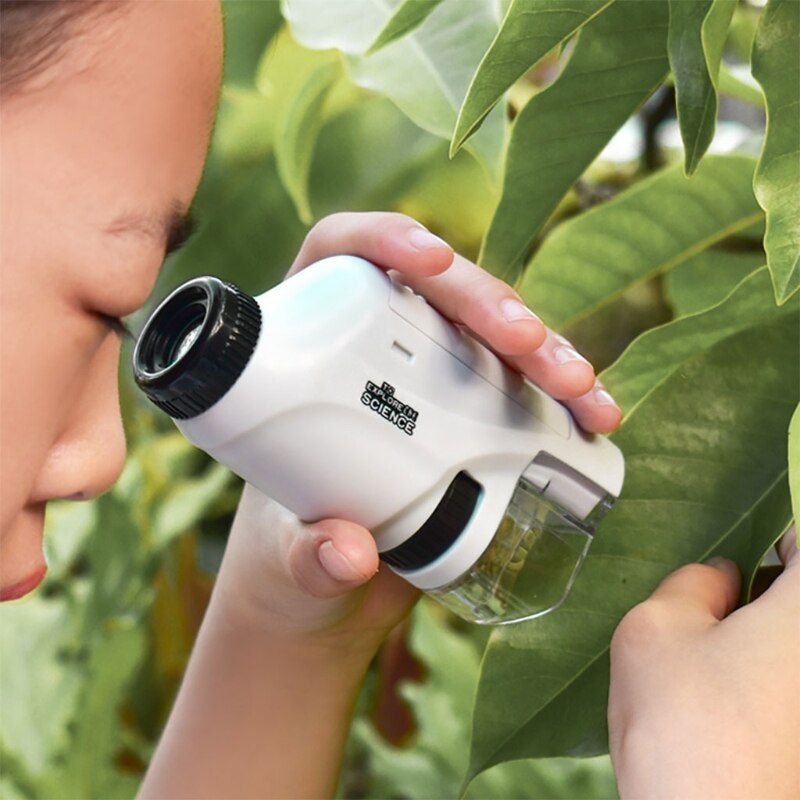 Kids Pocket Microscope - Explore the Microscopic World